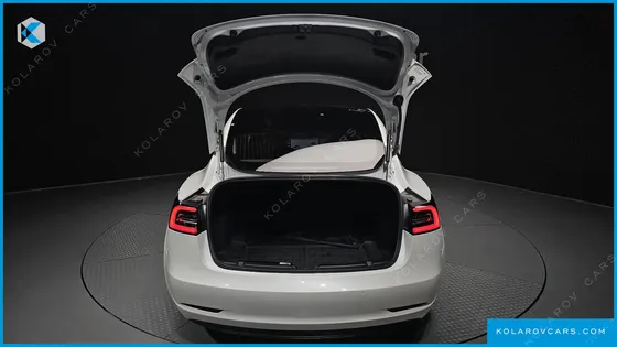 TESLA MODEL 3 PERFORMANCE AWD