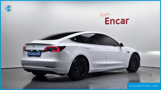 TESLA MODEL 3 STANDARD RANGE PLUE RWD