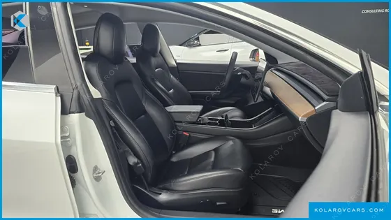 TESLA MODEL 3 STANDARD RANGE PLUE RWD