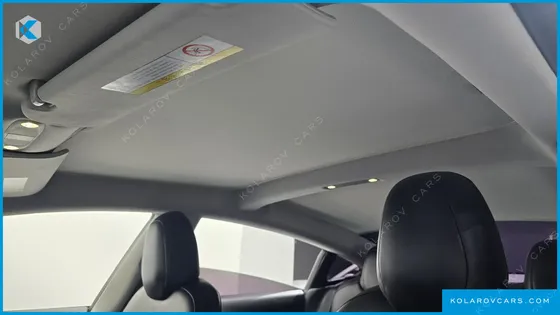 TESLA MODEL 3 STANDARD RANGE PLUE RWD