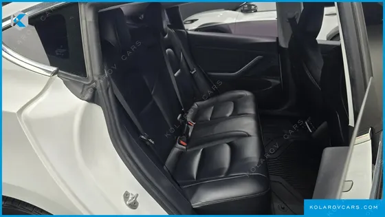 TESLA MODEL 3 STANDARD RANGE PLUE RWD