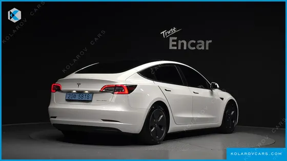 TESLA MODEL 3 STANDARD RANGE PLUE RWD