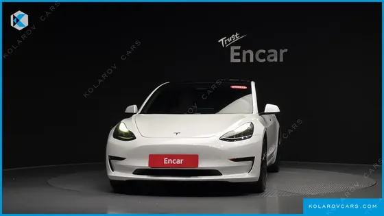 TESLA MODEL 3 STANDARD RANGE PLUE RWD