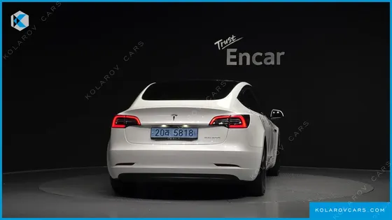 TESLA MODEL 3 STANDARD RANGE PLUE RWD