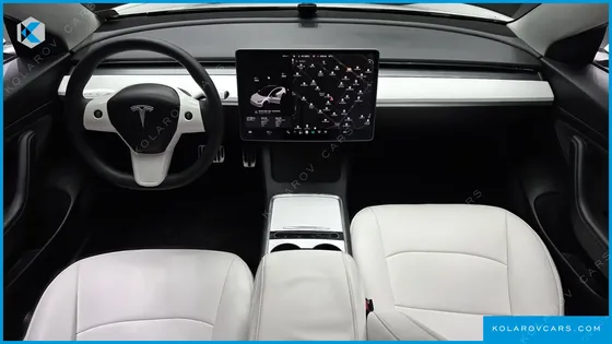 TESLA MODEL 3 STANDARD RANGE PLUE RWD