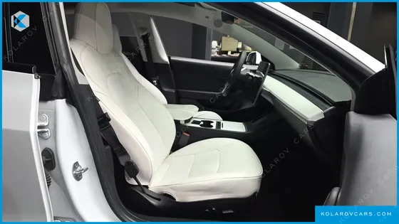 TESLA MODEL 3 STANDARD RANGE PLUE RWD