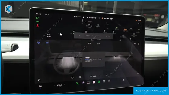 TESLA MODEL 3 STANDARD RANGE PLUE RWD