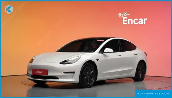 TESLA MODEL 3 STANDARD RANGE PLUE RWD