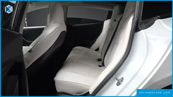 TESLA MODEL 3 STANDARD RANGE PLUE RWD