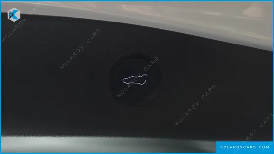 TESLA MODEL 3 STANDARD RANGE PLUE RWD
