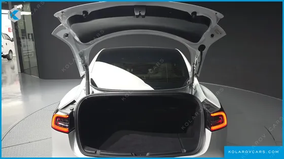 TESLA MODEL 3 STANDARD RANGE PLUE RWD