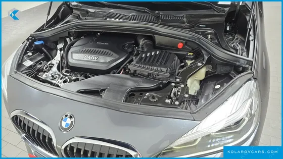 BMW 2 SERIES ADVANTAGE
