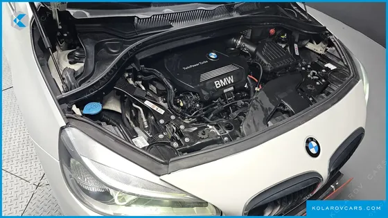 BMW 2 SERIES JOY