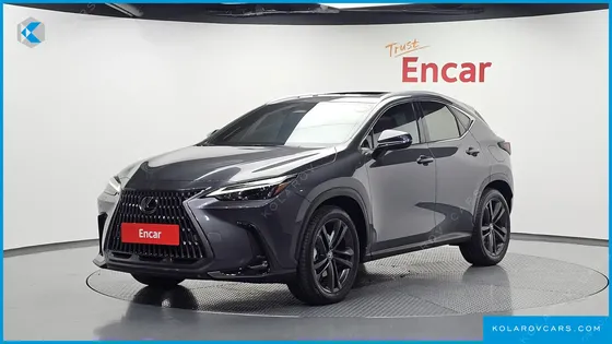 LEXUS NX PREMIUM