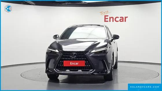 LEXUS NX PREMIUM