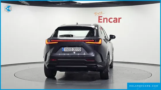 LEXUS NX PREMIUM