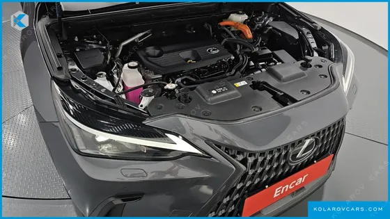 LEXUS NX PREMIUM