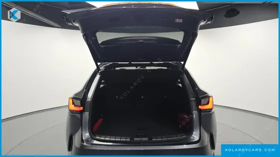 LEXUS NX PREMIUM