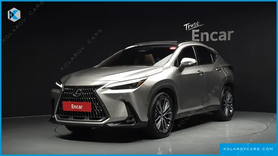 LEXUS NX LUXURY