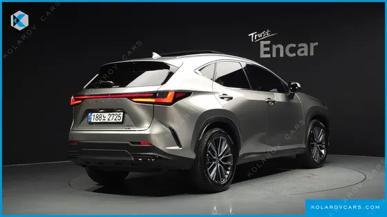 LEXUS NX LUXURY