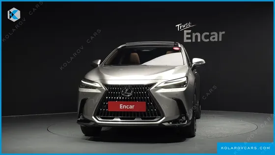 LEXUS NX LUXURY