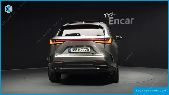 LEXUS NX LUXURY