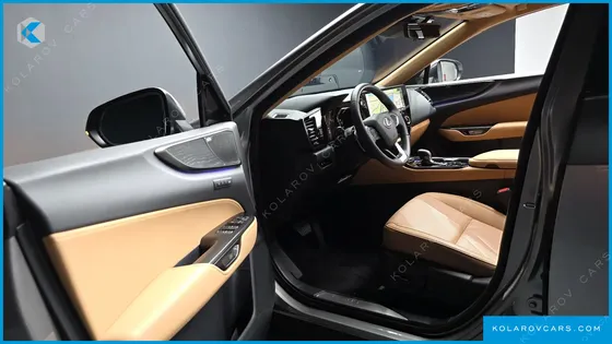 LEXUS NX LUXURY