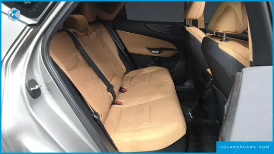 LEXUS NX LUXURY