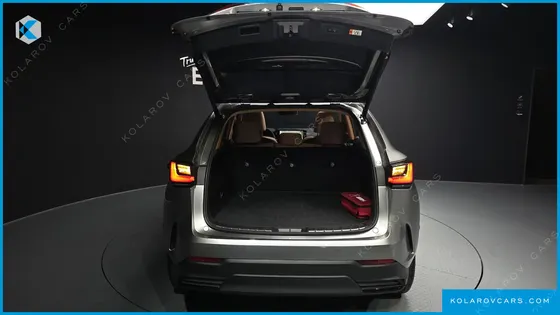 LEXUS NX LUXURY