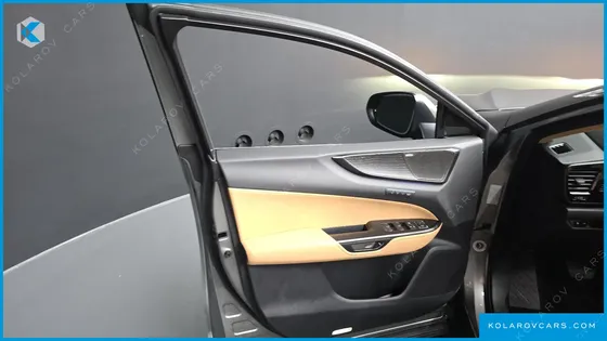 LEXUS NX LUXURY