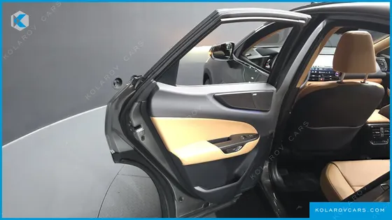 LEXUS NX LUXURY