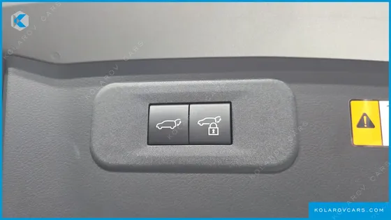 LEXUS NX LUXURY