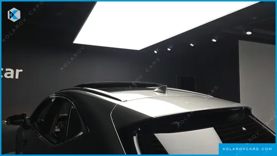 LEXUS NX LUXURY