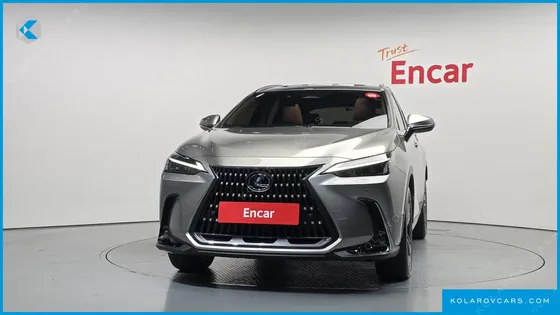 LEXUS NX PREMIUM
