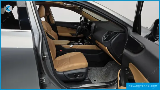 LEXUS NX PREMIUM