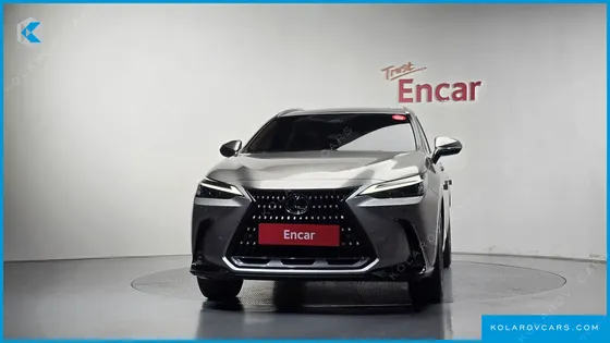 LEXUS NX PREMIUM
