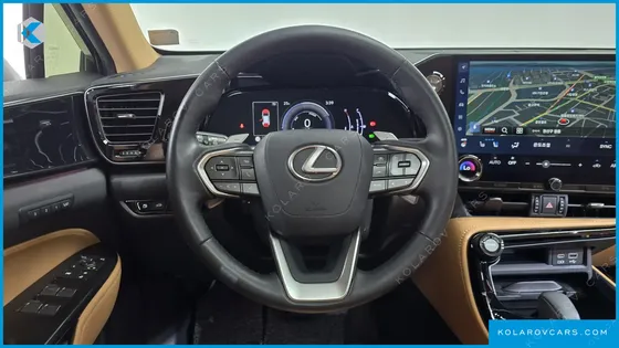 LEXUS NX PREMIUM