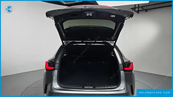 LEXUS NX PREMIUM
