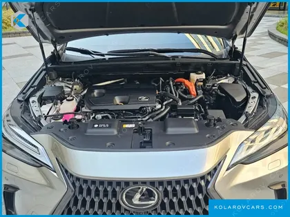 LEXUS NX LUXURY