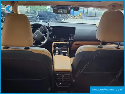 LEXUS NX LUXURY