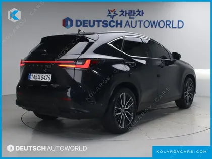 LEXUS NX LUXURY