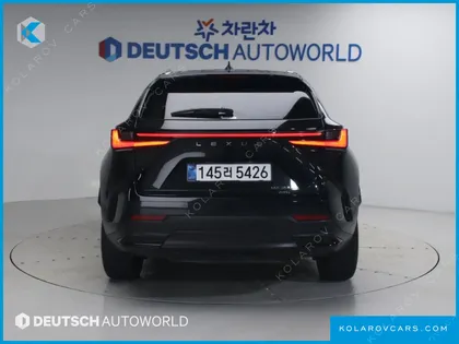 LEXUS NX LUXURY