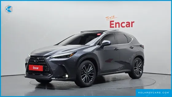 LEXUS NX LUXURY