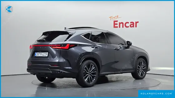 LEXUS NX LUXURY