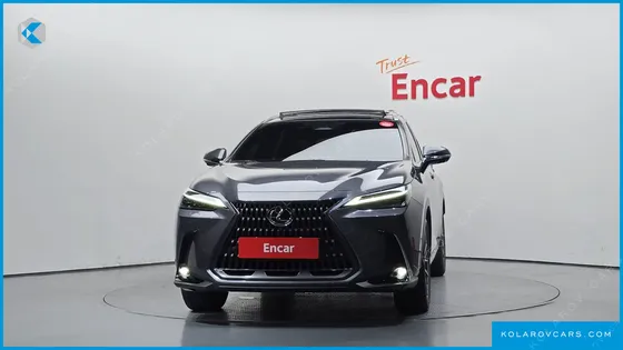 LEXUS NX LUXURY