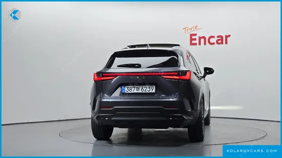 LEXUS NX LUXURY