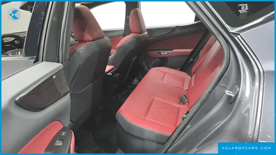 LEXUS NX LUXURY
