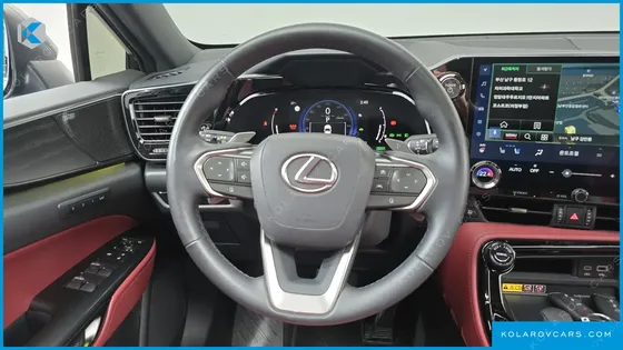 LEXUS NX LUXURY