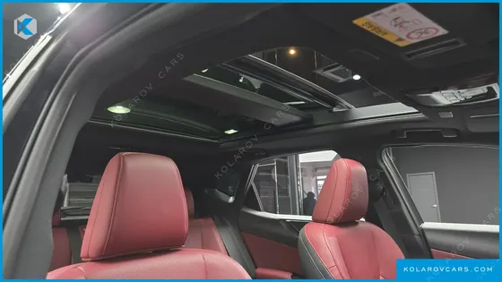 LEXUS NX LUXURY