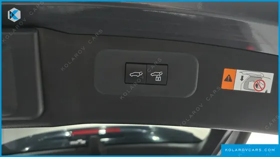 LEXUS NX LUXURY